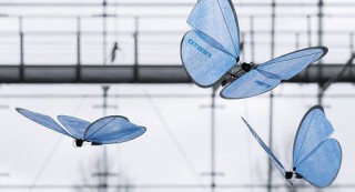 You will be impressed by this butterfly robot